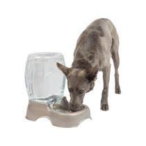 Dispensador de Água Petmate Pet Cafe 5.7L - Para Cães e Gatos