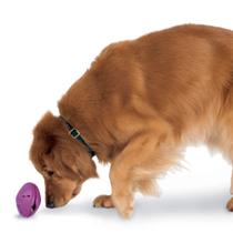 Dispensador de Brinquedos para Cães PetSafe Busy Buddy Twist 'n Treat - Grande