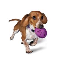Dispensador de Brinquedos PetSafe Busy Buddy Twist 'n Treat para Cães