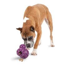 Dispensador de guloseimas PetSafe Busy Buddy Barnacle Toy para cães