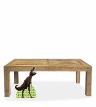 Display De Chão Totem Dinossauro 02