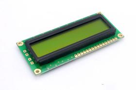 Display LCD 16x01 Verde sem Luz de Fundo (Back Light) WH-1601A-NGG-JT - Winstar