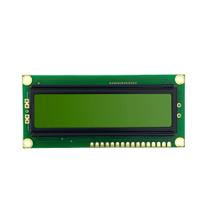 Display LCD WINSTAR WH-1602B-NYG 16X2
