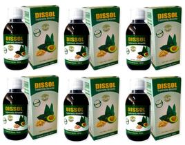 Dissol 150 Ml Suplemento Natural Para Cálculos Renais 6 Un. - Phytoviver