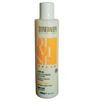Divine Concept Leave-In Leite Siliconado 300Ml