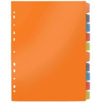 Divisoria Fichario Plastica 10PROJECOES PP A4 C/VISOR Colo - Taiwan Collection
