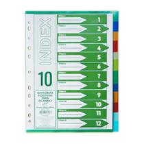 Divisória para Fichário Kit Ofício Plástica 758 10 Projeções Divisória para Fichário Kit Ofício Plástica 758 10 Projeções