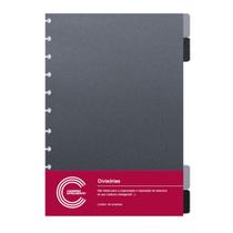 Divisórias Básicas Grande Caderno Inteligente Divisórias Básicas Grande Caderno Inteligente