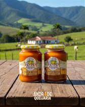 Doce de Abóbora com Coco Cremoso - 2 Potes de 650g cada