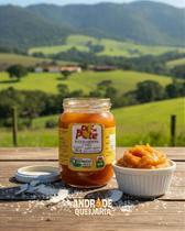 Doce de Abóbora com Coco Orgânico - 300g - Produto Natural e Saudável