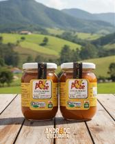 Doce de Abóbora com Coco Orgânico - Kit com 2 potes de 300g