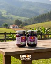 Doce de Batata Roxa Orgânico - 2 Potes de 300g - Do Pé ao Pote Doce de Batata Roxa Orgânico - 2 Potes de 300g - Do Pé ao Pote