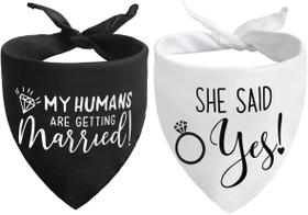 Dog Bandana HDGDT Meus humanos vão se casar Ela disse que sim Dog Bandana HDGDT Meus humanos vão se casar Ela disse que sim