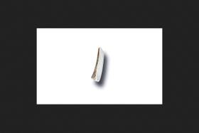 Dog Chew Bucky Bites Antler Medium para cães adultos