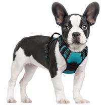 Dog Harness rabbitgoo No Pull, verde-azulado ajustável para cães pequenos Dog Harness rabbitgoo No Pull, verde-azulado ajustável para cães pequenos