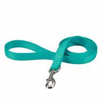 Dog Leash Coastal Bolt Snap Nylon Teal 2,5 cm x 1,8 m