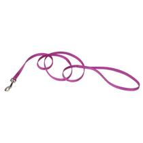 Dog Leash Coastal de 1 cm x 1,8 m, orquídea, durável, resistente ao desgaste