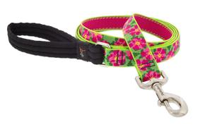 Dog Leash Lupine Pet Petúnias de 1 polegada de largura e 1,8 m de comprimento Dog Leash Lupine Pet Petúnias de 1 polegada de largura e 1,8 m de comprimento