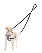 Dog Leash PetBonus: controle de dois pontos para cães de médio porte