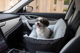 Dog Pet Booster Seat Os melhores suprimentos para animais de estimação para cães pequenos e médios