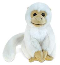DolliBu Plush Squirrel Monkey Stuffed Animal - Soft Fur Huggable White Monkey Playtime Zoo Brinquedo de pelúcia, Cute Jungle Animal Cuddle Gift, Super Soft Plush Toy para Crianças e Adultos - 12.5 "L x 4" W x 6.5 "H