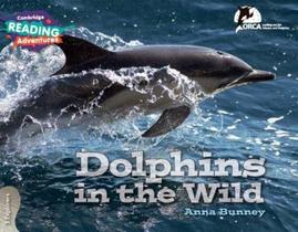 DOLPHINS IN THE WILD - 3 EXPLORERS -