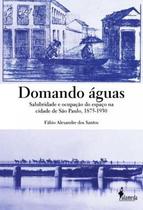 Domando Aguas - Salubridade E Ocupacao Do Espaco Na Cidade De Sao Paulo, 1875-1930 - ALAMEDA EDITORIAL