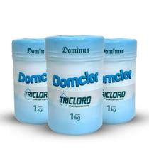 Domclor 15 Pastilha De Cloro 200g Desinfetante Piscina