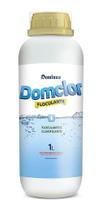 Domclor Floculante e Clarificante 1L Domclor Floculante e Clarificante 1L