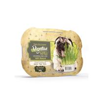 Doogs Graminha Digestiva 50g Natural para Cães