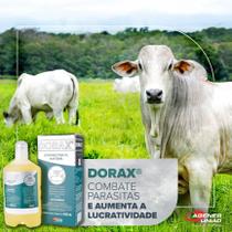 Dorax 1% INJ 50ML - AGENER UNIÃO Dorax 1% INJ 50ML - AGENER UNIÃO