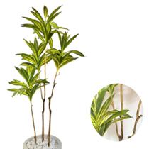 Dracena Planta Artificial Arvore Decorativa Toque Real Casa