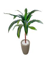 Dracena Planta Artificial Muda Variegata Vaso Decorção