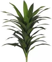 Dracena Real Toque Verde Artificial 1,18 Dracena Real Toque Verde Artificial 1,18