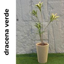 Dracena Verde Realista 1,50m de altura Plantas Permanentes
