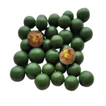 drageado de pistache 45% cacau ao leite sem açúcar 300g drageado de pistache 45% cacau ao leite sem açúcar 300g