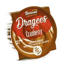Drágeas Chocolate com Cranberry Zero Açúcar, Zero Lactose Borussia 120g Drágeas Chocolate com Cranberry Zero Açúcar, Zero Lactose Borussia 120g
