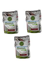Dripsol Ferro Q48 700g Catalisa Biossíntese Fertirrigação 3 Unidades
