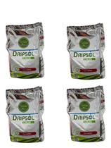 Dripsol Ferro Q48 700g Catalisa Biossíntese Fertirrigação 3 Unidades