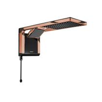 Ducha Lorenzetti Acqua Duo 5500W Preto e Rose Gold 127V