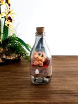 Duende na Garrafa Mágica em Resina e Vidro Decoração Mística, Proteção e Magia da Natureza Duende na Garrafa Mágica em Resina e Vidro Decoração Mística, Proteção e Magia da Natureza