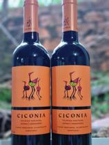 Duo Ciconia alentejo DOC Tinto