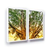 Duo Quadros Árvore Realista Grande Com Moldura Duo Quadros Árvore Realista Grande Com Moldura