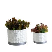 Dupla Cachepot Floral - Realce