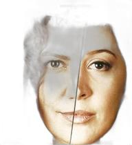 DVD A Favorita - Flora Pillar e Claudia Raia - Novela 44h - Som Livre