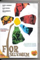 DVD Flor Selvagem Trilha Sonora de Santana e Blues Traveler - NBO