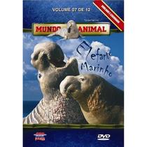 Dvd Mundo Animal - Elefante Marinho Vol. 7 De 12