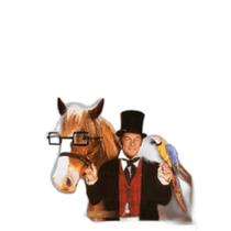 Dvd O Fantástico Dr. Dolittle Dvd O Fantástico Dr. Dolittle