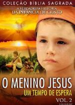 DVD O Menino Jesus Vol 2 Um Tempo de Espera