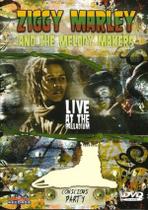 DVD Ziggy Marley And The Melody Makers Conscious